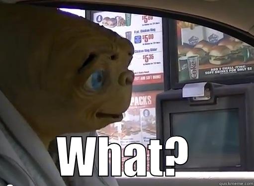  WHAT? Futurama Fry