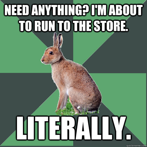 Need anything? I'm about to run to the store. Literally. - Need anything? I'm about to run to the store. Literally.  Harrier Hare