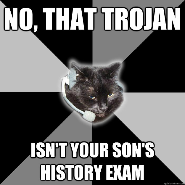 No, that trojan isn't your son's history exam  Tech Support Cat