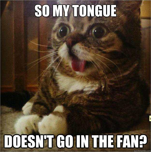 so my tongue doesn't go in the fan? - so my tongue doesn't go in the fan?  Derp Cat