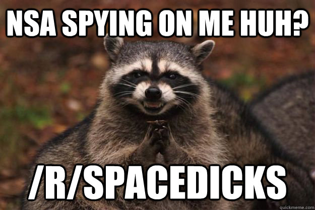 NSA spying on me huh? /r/spacedicks  Evil Plotting Raccoon