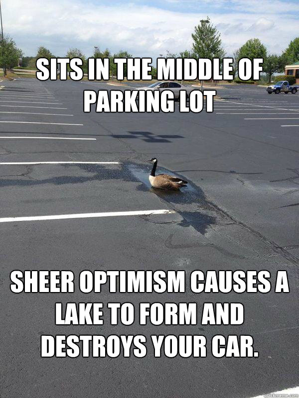 Sits in the middle of parking lot

 Sheer optimism causes a lake to form and destroys your car.
  Scumbag Goose