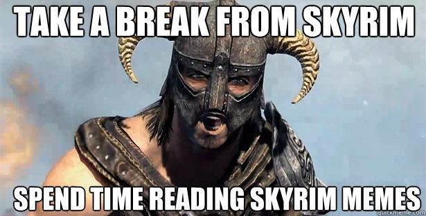 TAKE A BREAK FROM SKYRIM SPEND TIME READING SKYRIM MEMES - TAKE A BREAK FROM SKYRIM SPEND TIME READING SKYRIM MEMES  skyrim