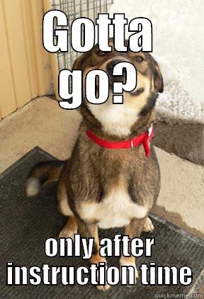 Potty Break - GOTTA GO? ONLY AFTER INSTRUCTION TIME Good Dog Greg