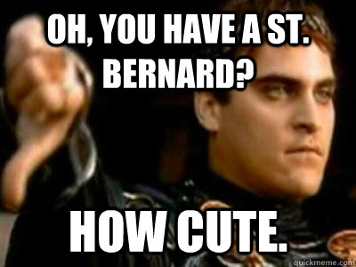 Oh, you have a St. BernarD? How cute.  Downvoting Roman
