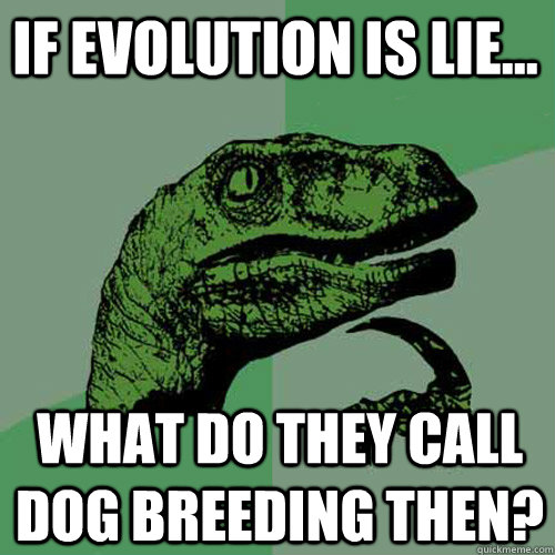 If evolution is lie... What do they call dog breeding then? - If evolution is lie... What do they call dog breeding then?  Philosoraptor