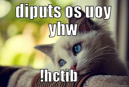 Bitch you.. - DIPUTS OS UOY YHW                !HCTIB                  First World Problems Cat