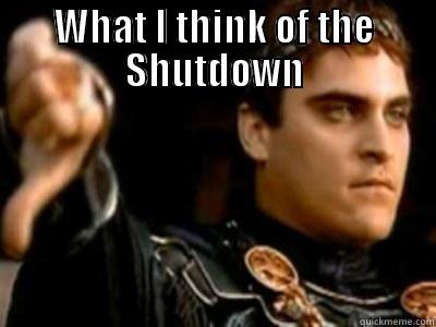 WHAT I THINK OF THE SHUTDOWN  Downvoting Roman