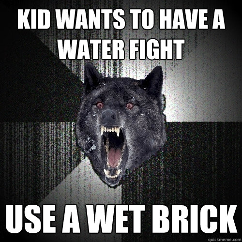 Kid wants to have a water fight use a wet brick  Insanity Wolf