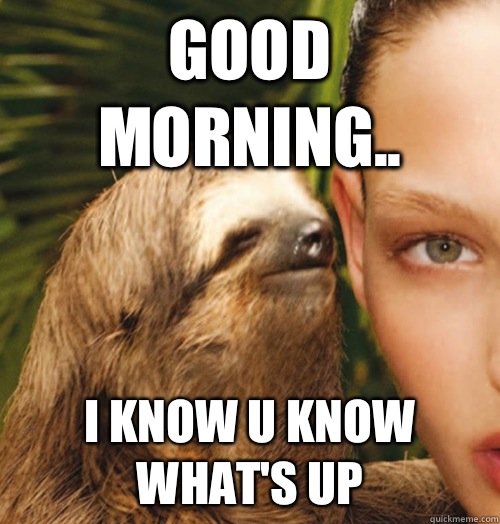 Good Morning.. I know u know what's up - Good Morning.. I know u know what's up  Whispering Sloth