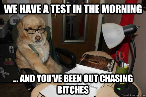 We have a test in the morning ... And you've been out chasing bitches - We have a test in the morning ... And you've been out chasing bitches  StudyDog
