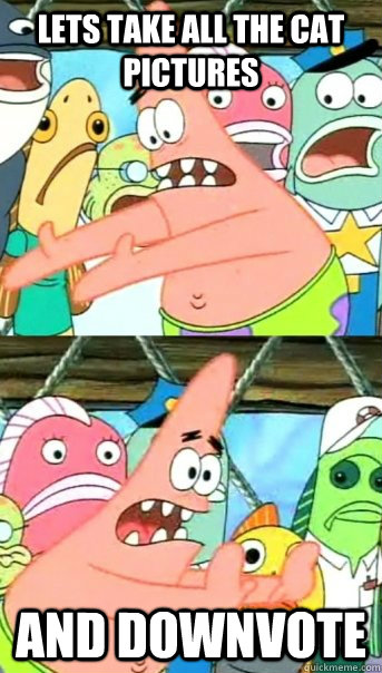 Lets take all the cat pictures and downvote  Push it somewhere else Patrick