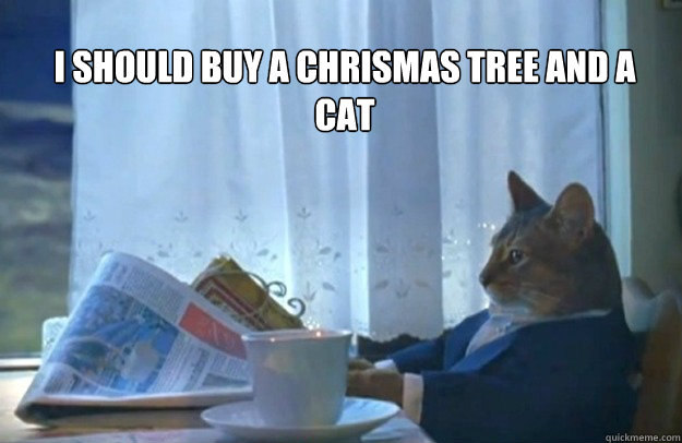I should buy a Chrismas tree and a cat  Sophisticated Cat