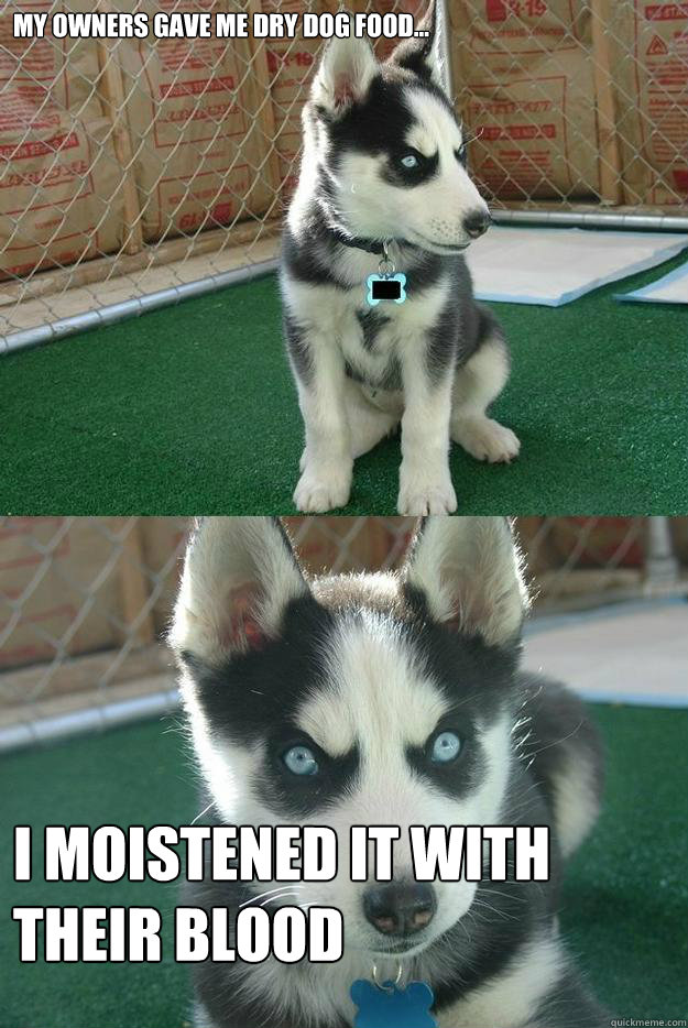 My owners gave me dry dog food... i Moistened it with their blood  Insanity puppy