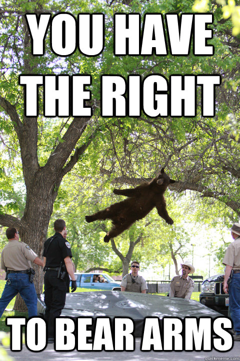 you have the right to bear arms - you have the right to bear arms  Boulder Bear