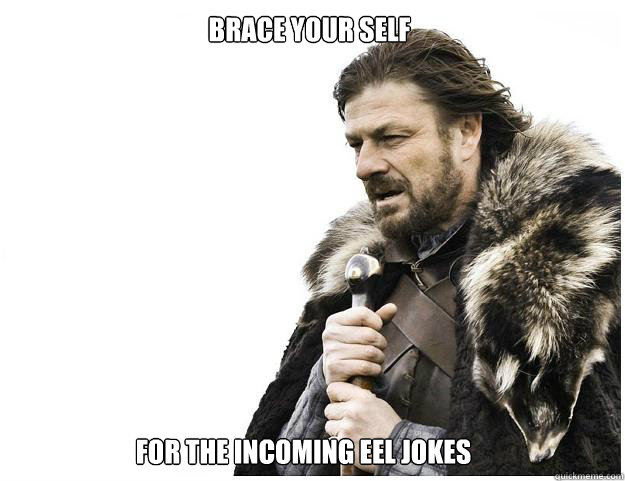 Brace your self For the incoming eel jokes  Imminent Ned