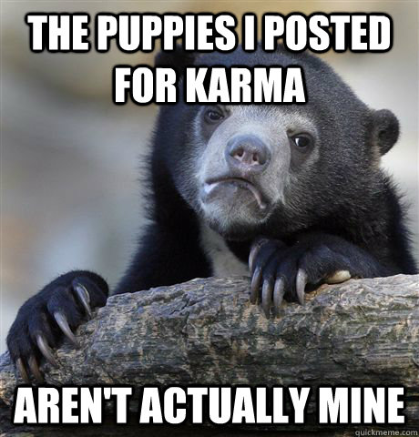 The puppies I posted for karma aren't actually mine  Confession Bear