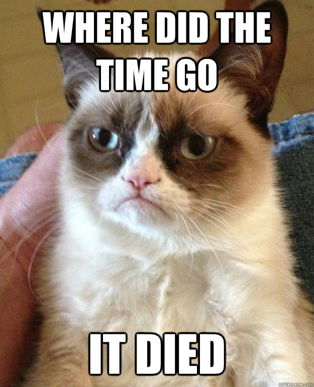where did the time go it died  grumpycat