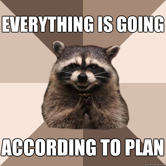 Everything is going according to plan  Evil Plotting Raccoon