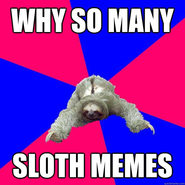 why so many sloth memes - why so many sloth memes  Math Major Sloth