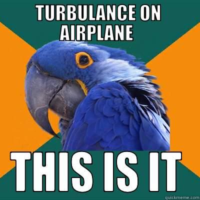 TURBULANCE ON AIRPLANE  THIS IS IT Paranoid Parrot