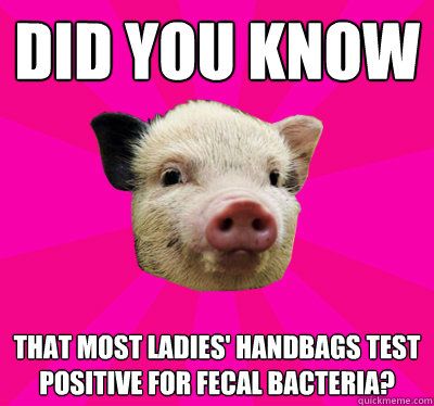 Did you know that most ladies' handbags test positive for fecal bacteria? - Did you know that most ladies' handbags test positive for fecal bacteria?  InformaPig