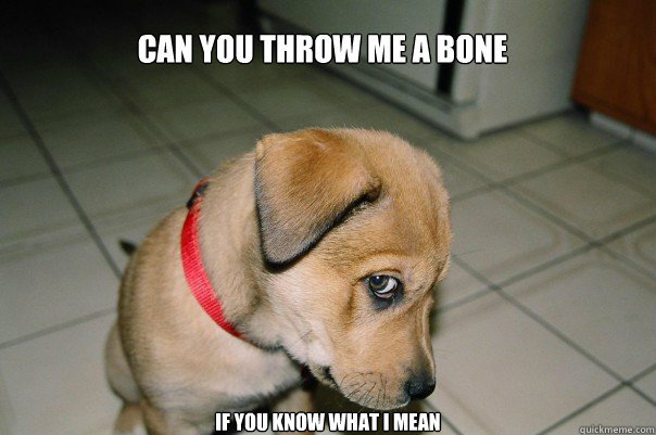 Can you throw me a bone If you know what i mean - Can you throw me a bone If you know what i mean  Suggestive Dog