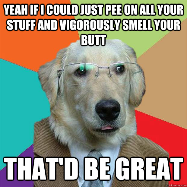 Yeah if I could just pee on all your stuff and vigorously smell your butt That'd be great  Business Dog