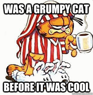 Was a grumpy cat before it was cool - Was a grumpy cat before it was cool  Hipster Garfield