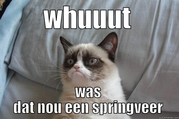 WHUUUT WAS DAT NOU EEN SPRINGVEER Grumpy Cat