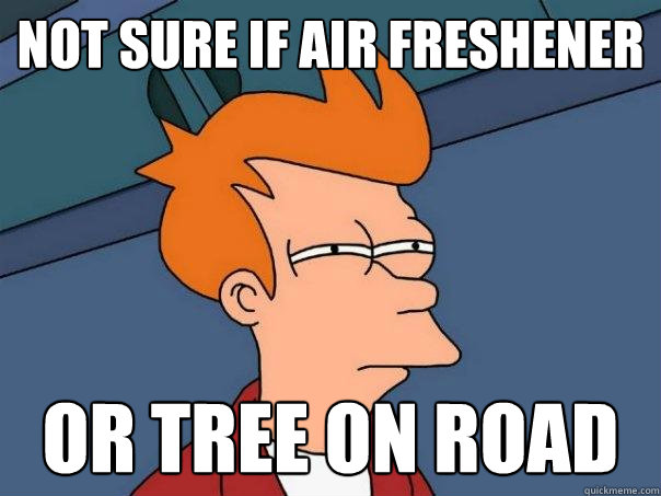 Not sure if air freshener or tree on road  Futurama Fry