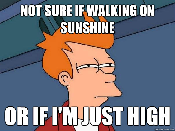 Not sure if walking on sunshine Or if I'm just high - Not sure if walking on sunshine Or if I'm just high  Futurama Fry