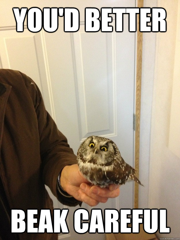 You'd better Beak Careful  - You'd better Beak Careful   Vengeful Owl