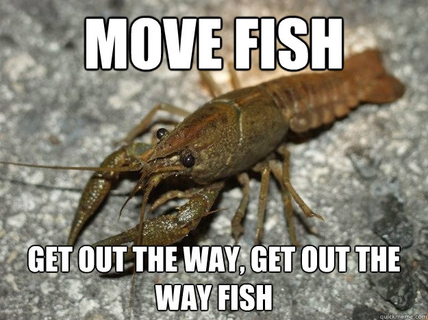 Move fish  get out the way, get out the way fish  that fish cray