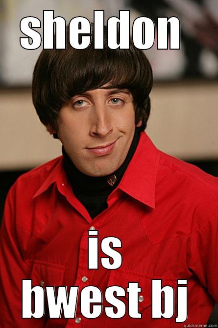 SHELDON  IS BWEST BJ Pickup Line Scientist