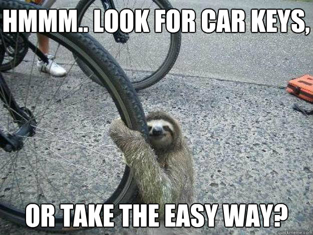 Hmmm.. Look for car keys, Or take the easy way? - Hmmm.. Look for car keys, Or take the easy way?  LuvSloth