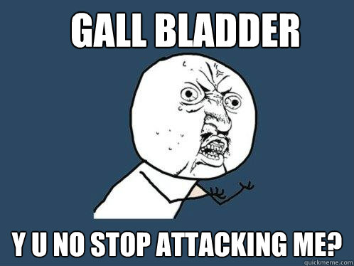 gall bladder y u no stop attacking me?  Y U No