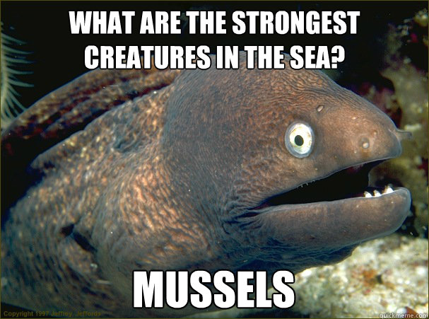 What are the strongest creatures in the sea? Mussels  Bad Joke Eel