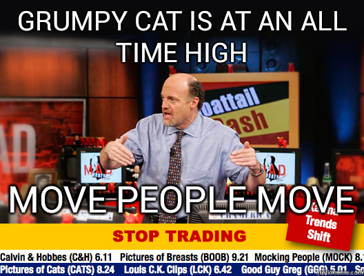 Grumpy cat is at an all time high move people move - Grumpy cat is at an all time high move people move  Misc
