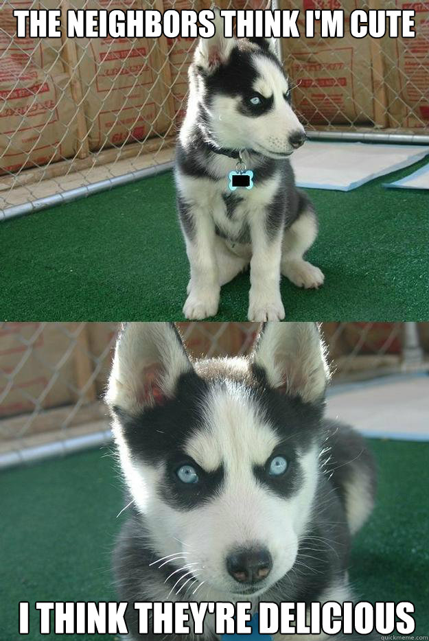 The neighbors think i'm cute i think they're delicious  Insanity puppy