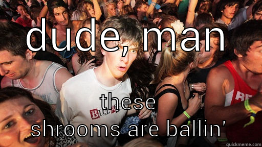 DUDE, MAN THESE SHROOMS ARE BALLIN' Sudden Clarity Clarence