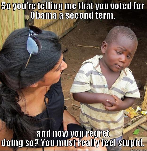 SO YOU'RE TELLING ME THAT YOU VOTED FOR OBAMA A SECOND TERM, AND NOW YOU REGRET DOING SO? YOU MUST REALLY FEEL STUPID. Skeptical Third World Kid