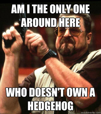 Am i the only one around here who doesn't own a hedgehog   Walter Sobchak Approves this Message