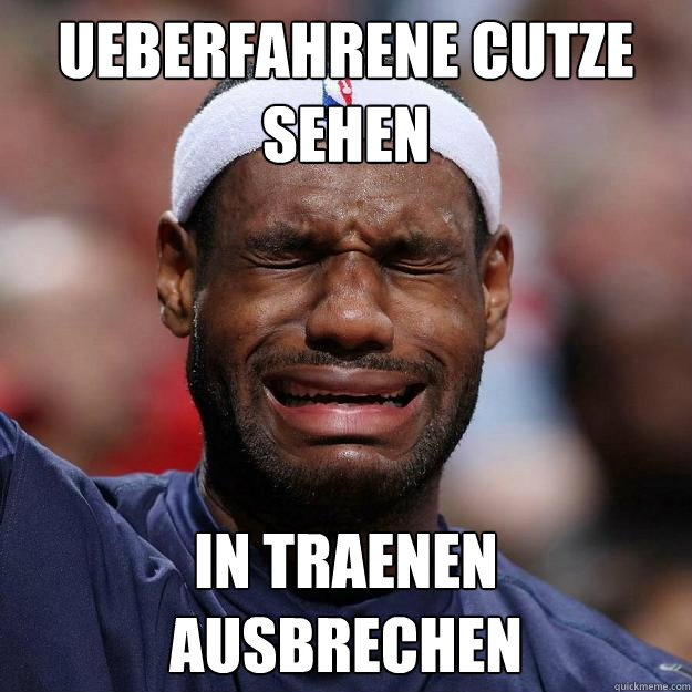 Ueberfahrene Cutze sehen in traenen ausbrechen  Lebron Crying