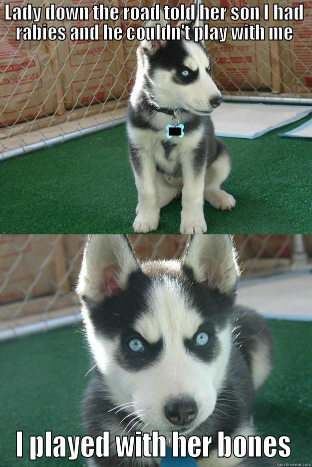 LADY DOWN THE ROAD TOLD HER SON I HAD RABIES AND HE COULDN'T PLAY WITH ME I PLAYED WITH HER BONES Insanity puppy