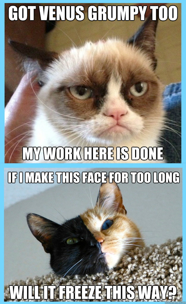 GRUMPY CAT MAKES VENUS GRUMPY TOO memes | quickmeme