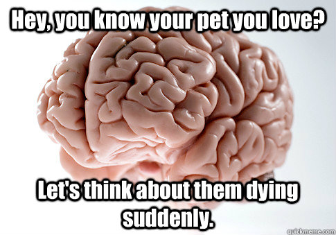 Hey, you know your pet you love? Let's think about them dying suddenly.  Scumbag Brain