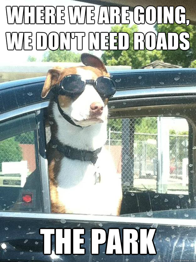 Where we are going, we don't need roads The Park  - Where we are going, we don't need roads The Park   Excellent Dog