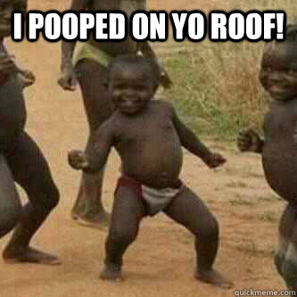 I pooped on yo roof!   Its friday niggas