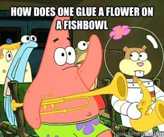 How does one glue a flower on a fishbowl   Band Patrick